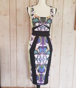 Bebe bodycon midi